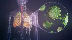 How steroids affect your immune systems